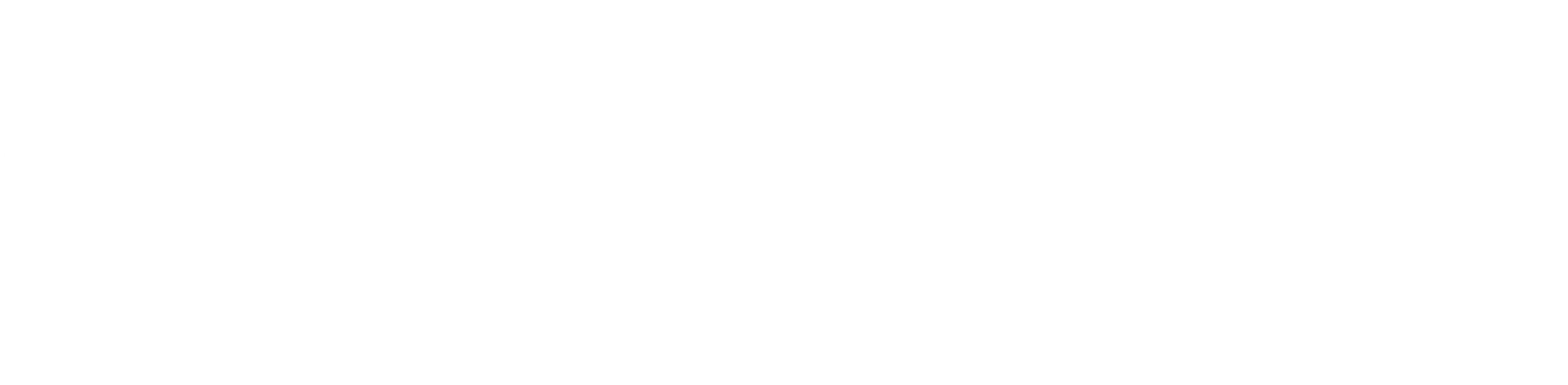 Petrosoft logo white