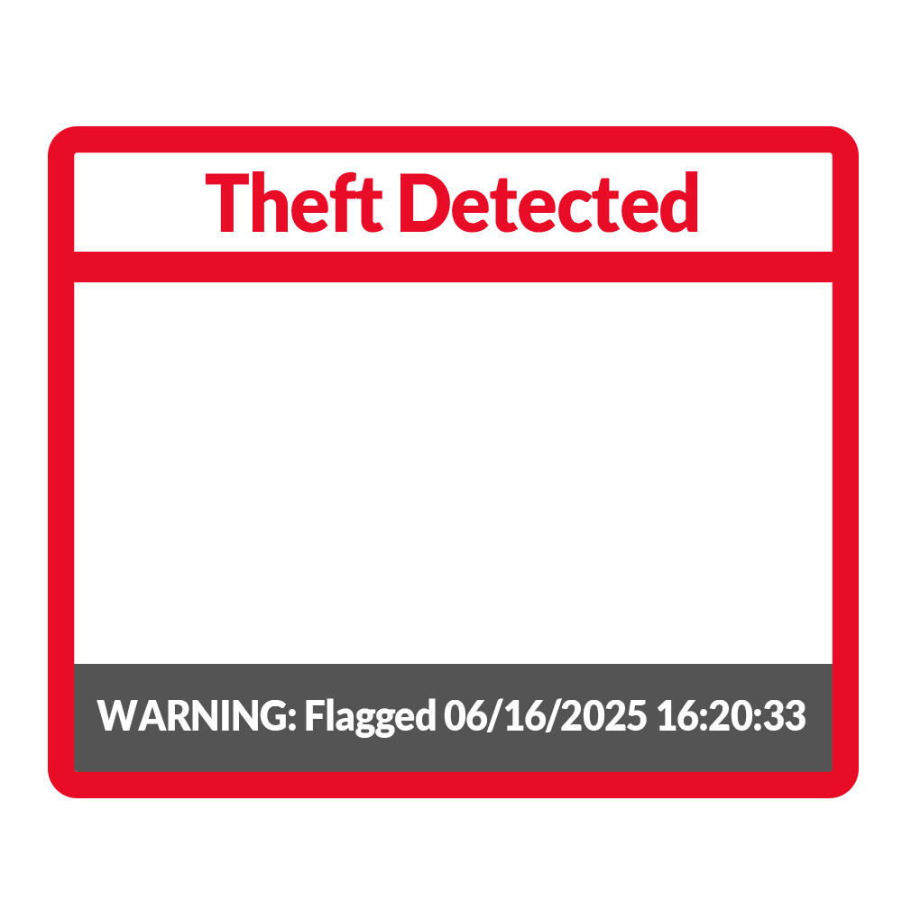 Example of Theft Detected